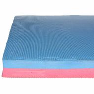 �erveno-modr� puzzle modulov� tatami Champion - 100 x 100 x 4 cm