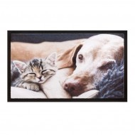 Vnitn istc vstupn roho FLOMA Image Kitten - dlka 40 cm a ka 60 cm - zvtit obrzek
