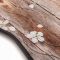 Plastov� odkap�va� na boty FLOMA Flowers & Wood - 