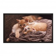 Vnitn istc vstupn roho FLOMA Image Cats - dlka 40 cm a ka 60 cm - zvtit obrzek