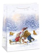 Drkov paprov taka MAXI (47 x 70 cm) Sky - zvtit obrzek